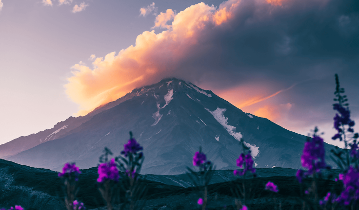 Арктик-отель «Китовый берег»